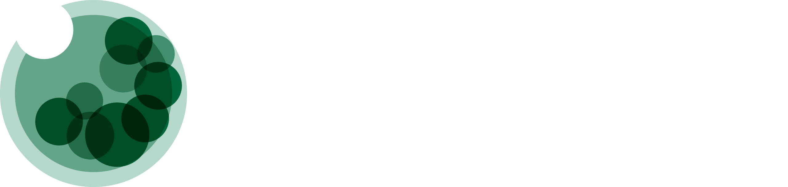 9th TPD Summit logo W