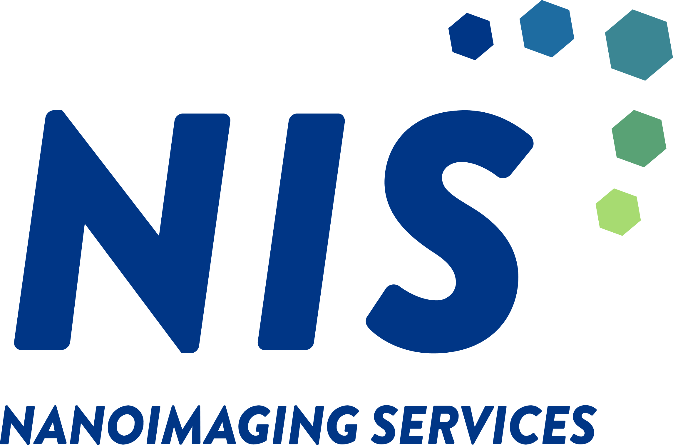 NIS Color Logo with Tagline