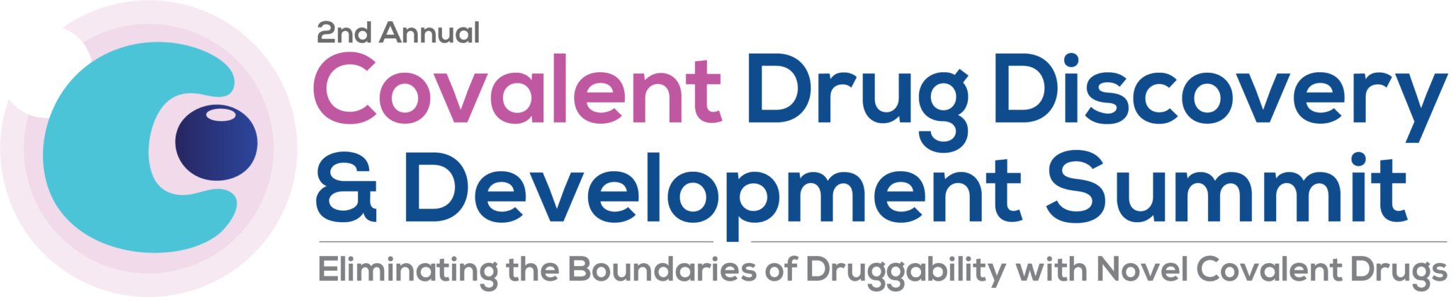 Covalent Drug Discovery Development